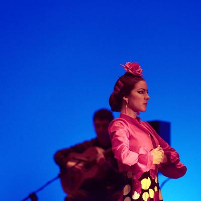 Fotografía de Talleres de Baile flamenco  - Conservatorio de Danza