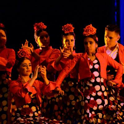 Fotografía de Talleres de Baile flamenco  - Conservatorio de Danza