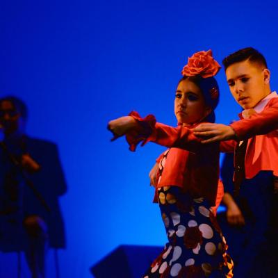Fotografía de Talleres de Baile flamenco  - Conservatorio de Danza