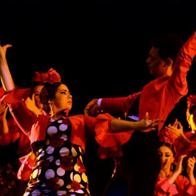 Fotografía de Talleres de Baile flamenco  - Conservatorio de Danza