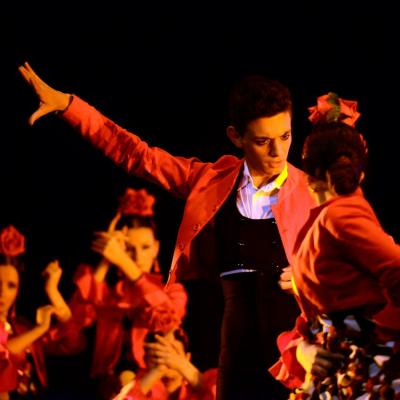 Fotografía de Talleres de Baile flamenco  - Conservatorio de Danza