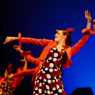 Fotografía de Talleres de Baile flamenco  - Conservatorio de Danza