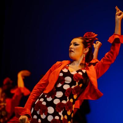Fotografía de Talleres de Baile flamenco  - Conservatorio de Danza