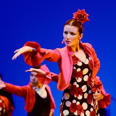 Fotografía de Talleres de Baile flamenco  - Conservatorio de Danza
