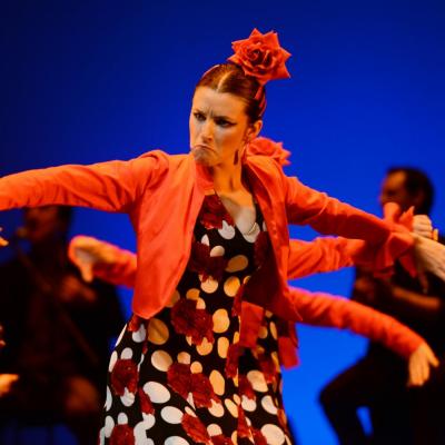 Fotografía de Talleres de Baile flamenco  - Conservatorio de Danza
