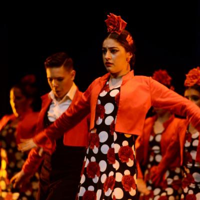 Fotografía de Talleres de Baile flamenco  - Conservatorio de Danza