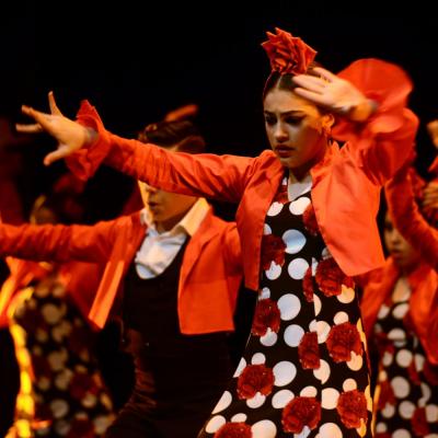 Fotografía de Talleres de Baile flamenco  - Conservatorio de Danza