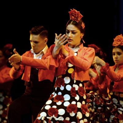 Fotografía de Talleres de Baile flamenco  - Conservatorio de Danza