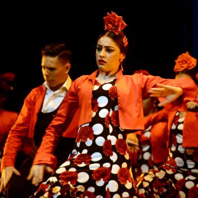 Fotografía de Talleres de Baile flamenco  - Conservatorio de Danza