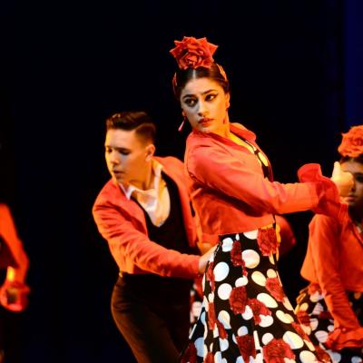 Fotografía de Talleres de Baile flamenco  - Conservatorio de Danza