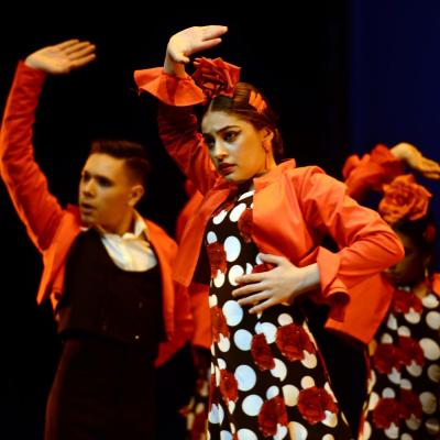 Fotografía de Talleres de Baile flamenco  - Conservatorio de Danza