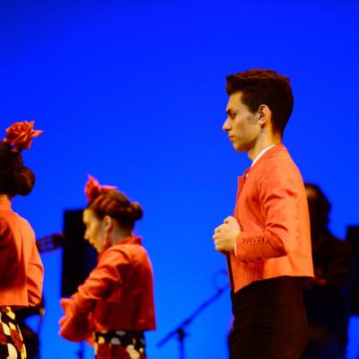 Fotografía de Talleres de Baile flamenco  - Conservatorio de Danza