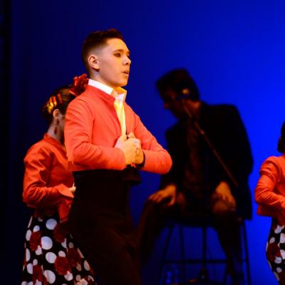Fotografía de Talleres de Baile flamenco  - Conservatorio de Danza