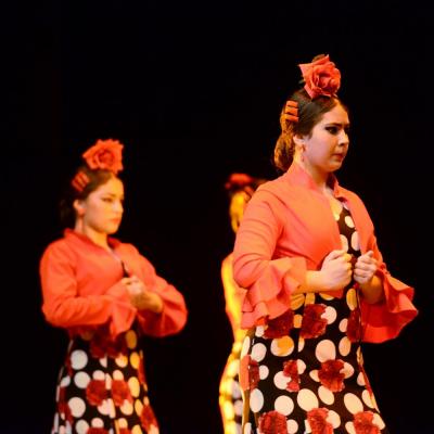 Fotografía de Talleres de Baile flamenco  - Conservatorio de Danza