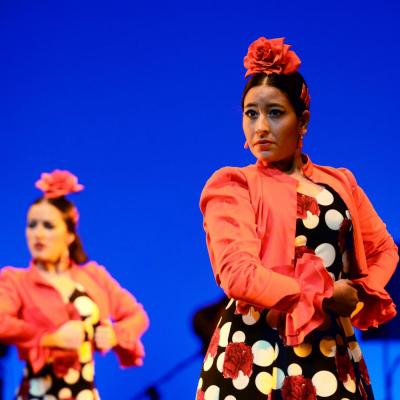 Fotografía de Talleres de Baile flamenco  - Conservatorio de Danza