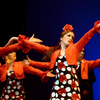 Fotografía de Talleres de Baile flamenco  - Conservatorio de Danza