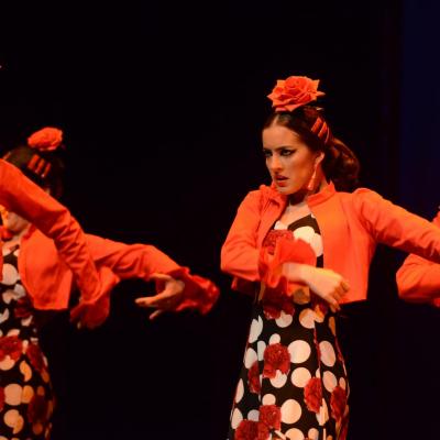 Fotografía de Talleres de Baile flamenco  - Conservatorio de Danza