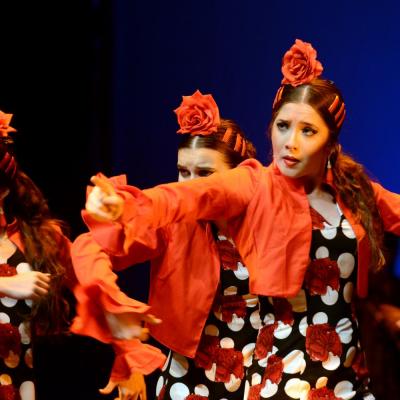 Fotografía de Talleres de Baile flamenco  - Conservatorio de Danza