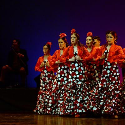 Fotografía de Talleres de Baile flamenco  - Conservatorio de Danza