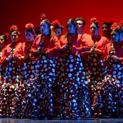 Fotografía de Talleres de Baile flamenco  - Conservatorio de Danza