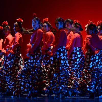 Fotografía de Talleres de Baile flamenco  - Conservatorio de Danza