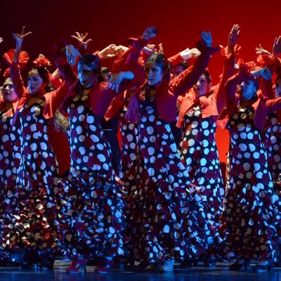 Fotografía de Talleres de Baile flamenco  - Conservatorio de Danza