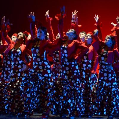Fotografía de Talleres de Baile flamenco  - Conservatorio de Danza