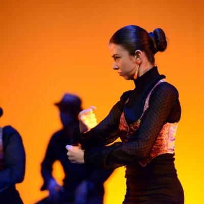 Fotografía de Talleres de Baile flamenco  - Conservatorio de Danza
