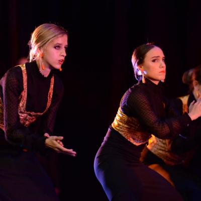Fotografía de Talleres de Baile flamenco  - Conservatorio de Danza