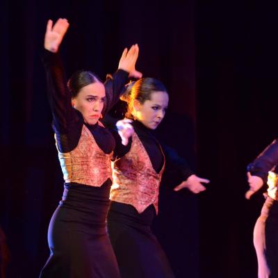 Fotografía de Talleres de Baile flamenco  - Conservatorio de Danza