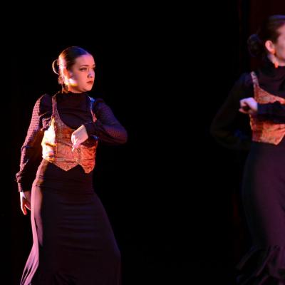 Fotografía de Talleres de Baile flamenco  - Conservatorio de Danza