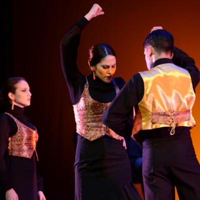 Fotografía de Talleres de Baile flamenco  - Conservatorio de Danza