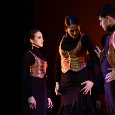 Fotografía de Talleres de Baile flamenco  - Conservatorio de Danza