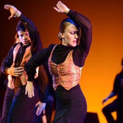 Fotografía de Talleres de Baile flamenco  - Conservatorio de Danza