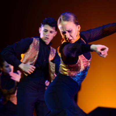Fotografía de Talleres de Baile flamenco  - Conservatorio de Danza