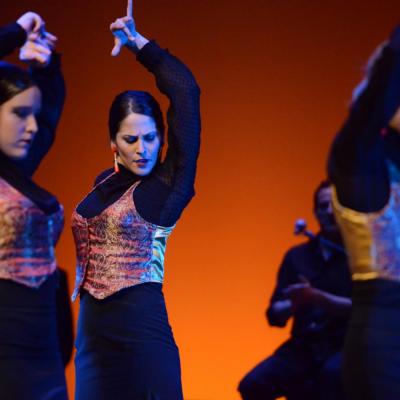 Fotografía de Talleres de Baile flamenco  - Conservatorio de Danza