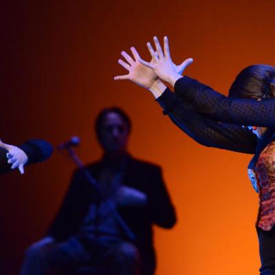 Fotografía de Talleres de Baile flamenco  - Conservatorio de Danza