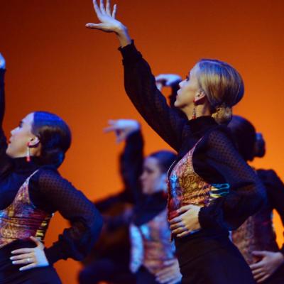Fotografía de Talleres de Baile flamenco  - Conservatorio de Danza