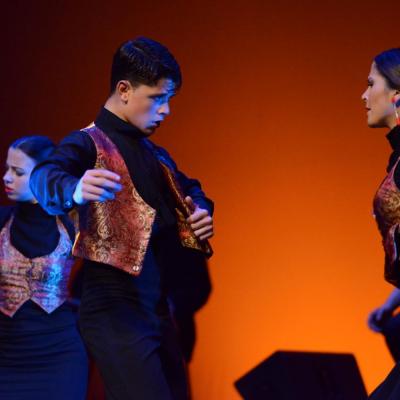 Fotografía de Talleres de Baile flamenco  - Conservatorio de Danza