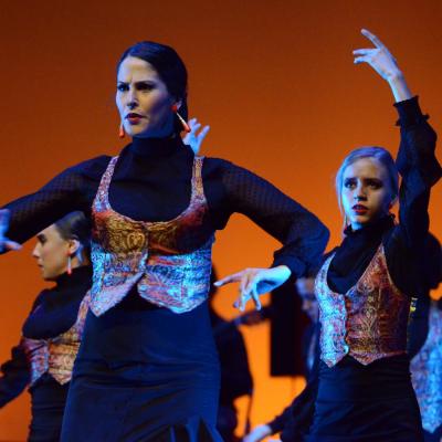 Fotografía de Talleres de Baile flamenco  - Conservatorio de Danza