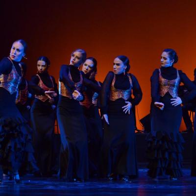 Fotografía de Talleres de Baile flamenco  - Conservatorio de Danza