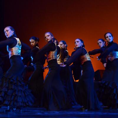 Fotografía de Talleres de Baile flamenco  - Conservatorio de Danza