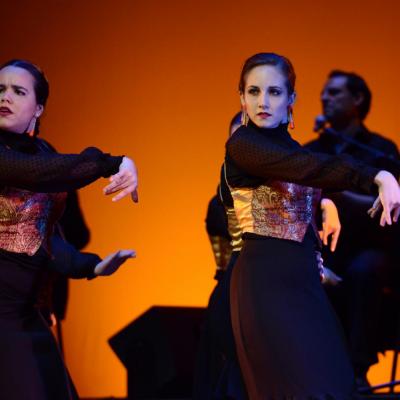 Fotografía de Talleres de Baile flamenco  - Conservatorio de Danza