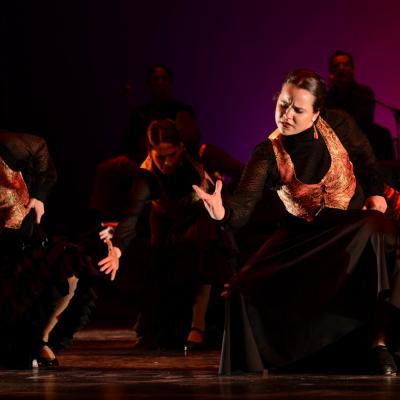 Fotografía de Talleres de Baile flamenco  - Conservatorio de Danza