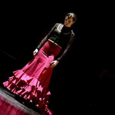 Fotografía de Talleres de Baile flamenco  - Conservatorio de Danza
