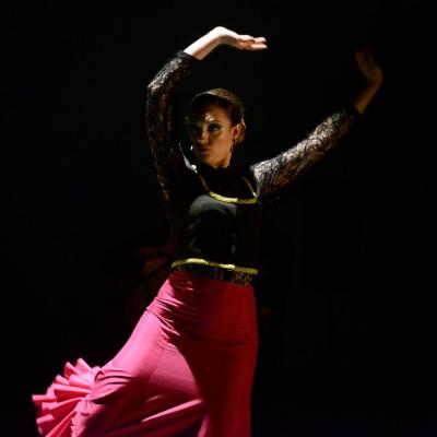 Fotografía de Talleres de Baile flamenco  - Conservatorio de Danza