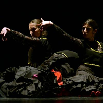 Fotografía de Talleres de Baile flamenco  - Conservatorio de Danza
