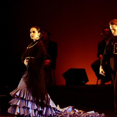 Fotografía de Talleres de Baile flamenco  - Conservatorio de Danza