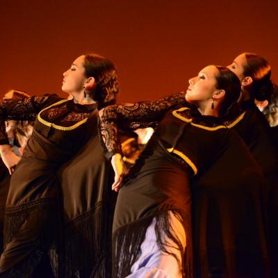 Fotografía de Talleres de Baile flamenco  - Conservatorio de Danza