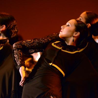 Fotografía de Talleres de Baile flamenco  - Conservatorio de Danza